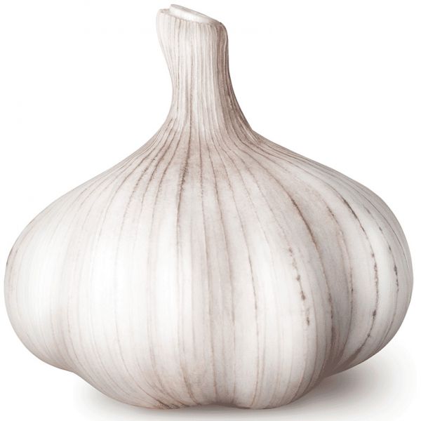 Fichier:Ail2.jpg